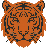 Ranthambore Safari Tours Logo